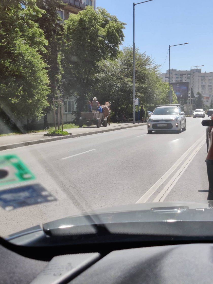 Преди няколко месеца Столичният общински съвет реши да спре движението