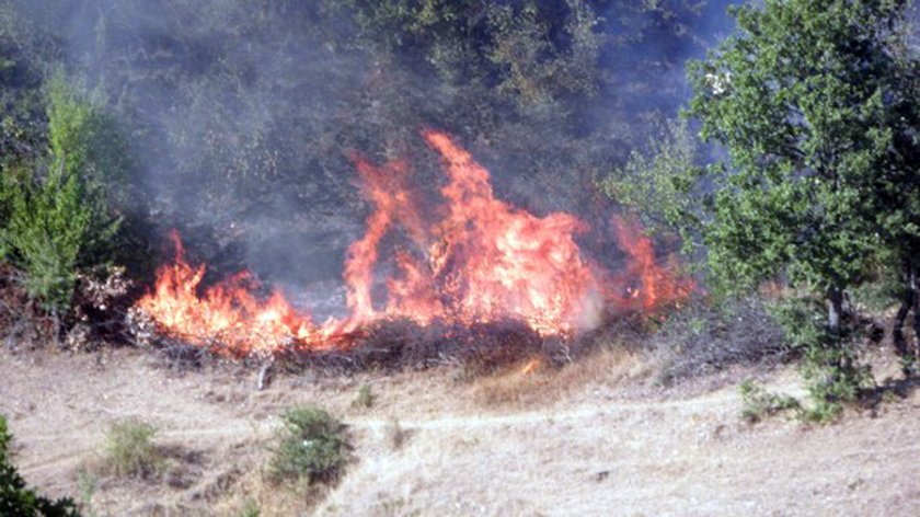 Мълния е предизвикала пожара на територията на Природен парк „Рилски