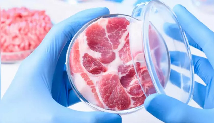 Бъдеще без клане на животни: Изграждат биореактори за изкуствено месо