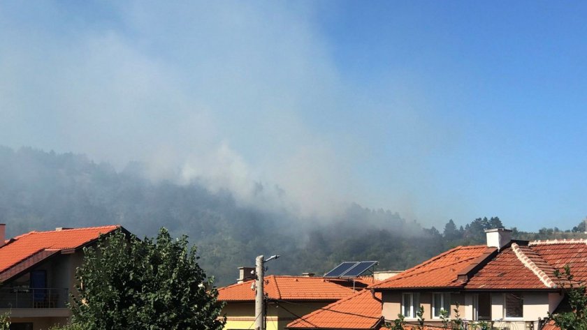 Военни дейности няма да евакуират село в Архангелска област