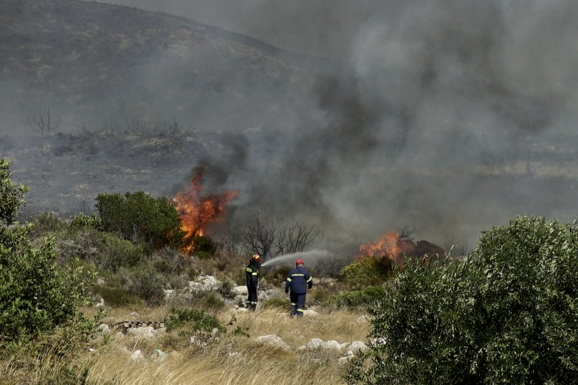 50 пожара захапаха Гърция