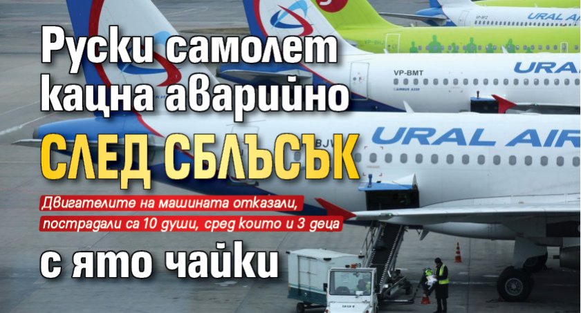 Руски самолет кацна аварийно след сблъсък с ято чайки 
