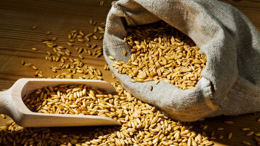 Украйна е разработила коридор за зърно през Полша и Румъния