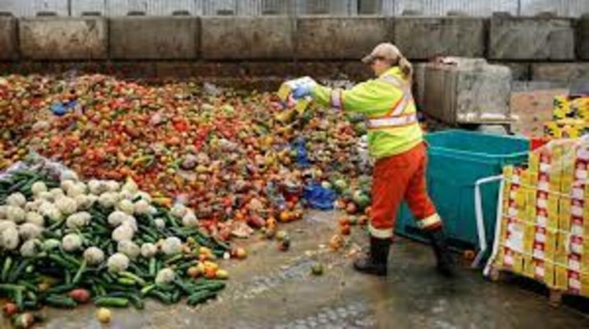 Испания обяви война на изхвърлянето на храна от барове и супермаркети