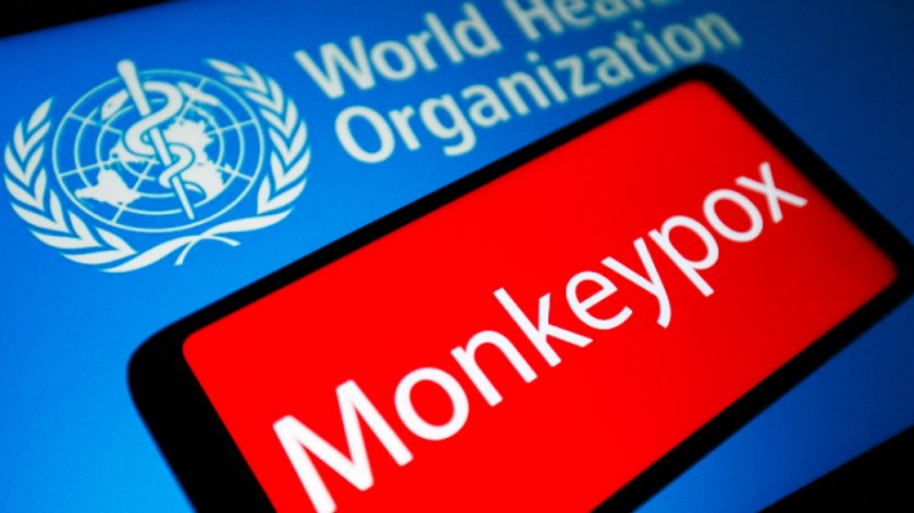 Гърция установи първи случай на маймунска шарка при пациент, пътувал