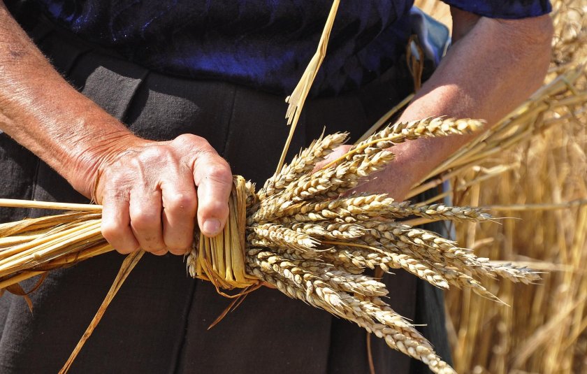 Русия взе част от земите с пшеница на Украйна 