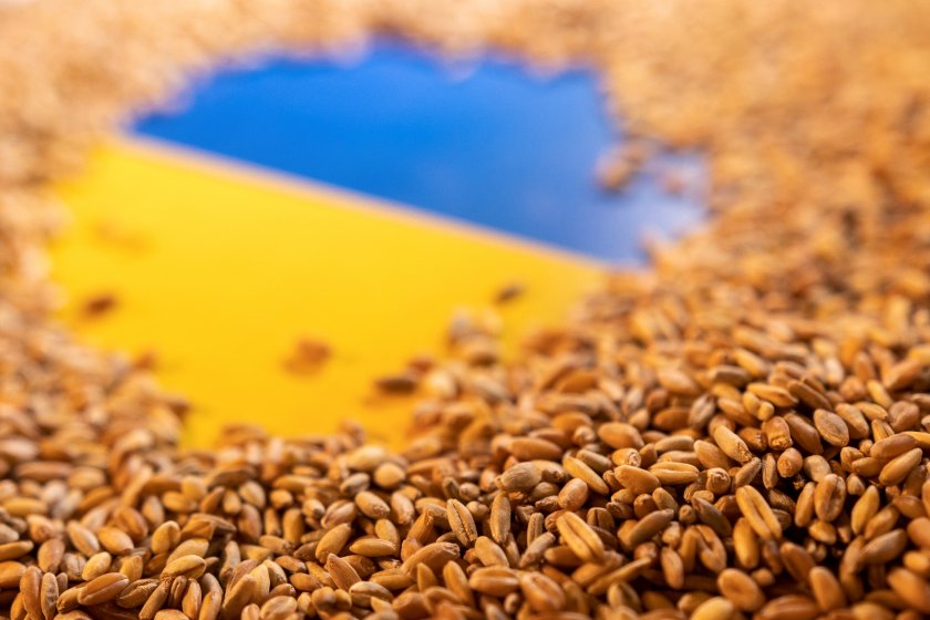 18 хил. тона украинско зърно стигнаха до Испания 