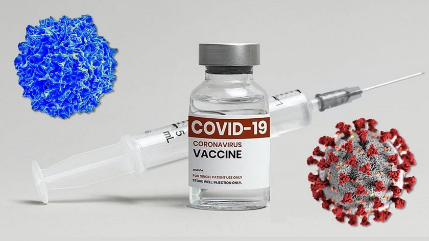 Ваксините срещу Covid-19 са спасили 20 милиона живота през 2021