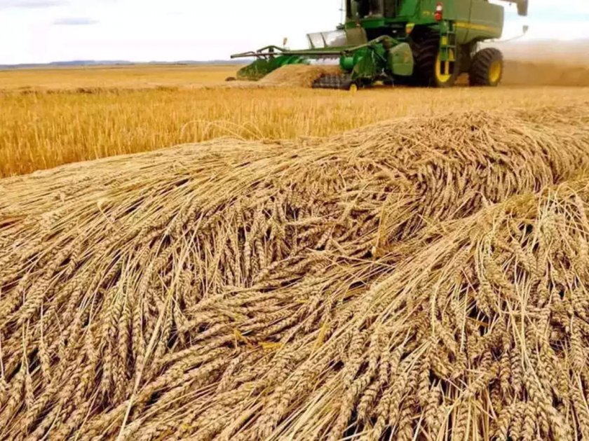 44% по-малко зърно изнесе Украйна през юни