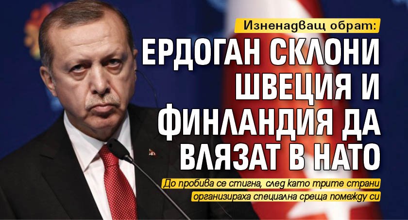 Изненадващ обрат: Ердоган склони Швеция и Финландия да влязат в НАТО