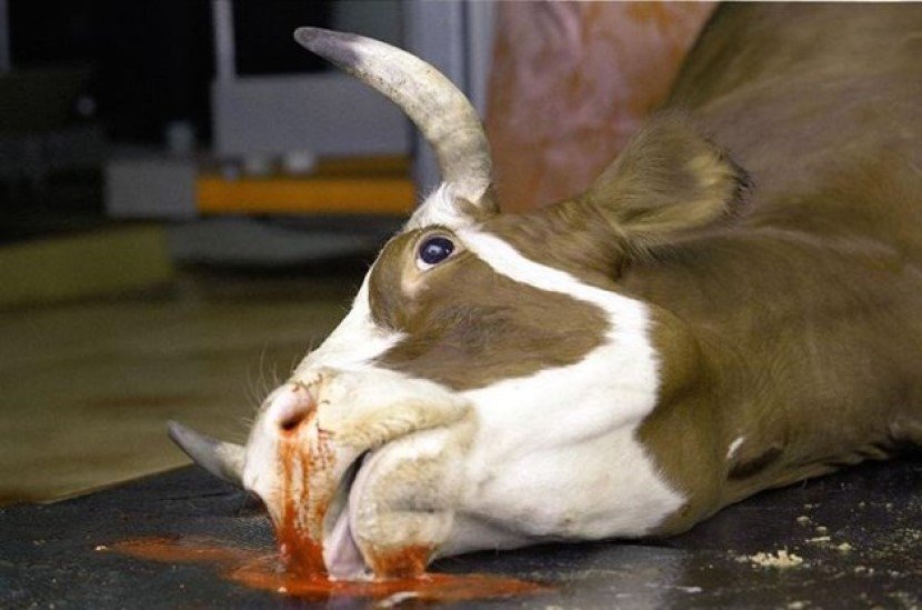 Катастрофа на Околовръстното шосе в София е станала тази сутрин.По