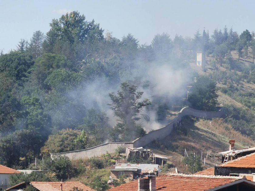 Пожар гори в близост до зоопарка в Благоевград.По предварителна информация