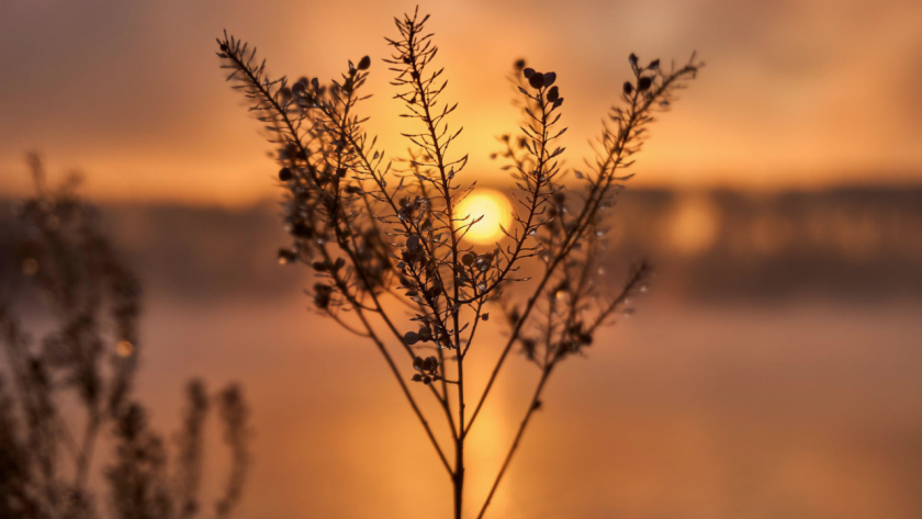 Месец юни през 2022 г. е третият най-топъл, регистриран в