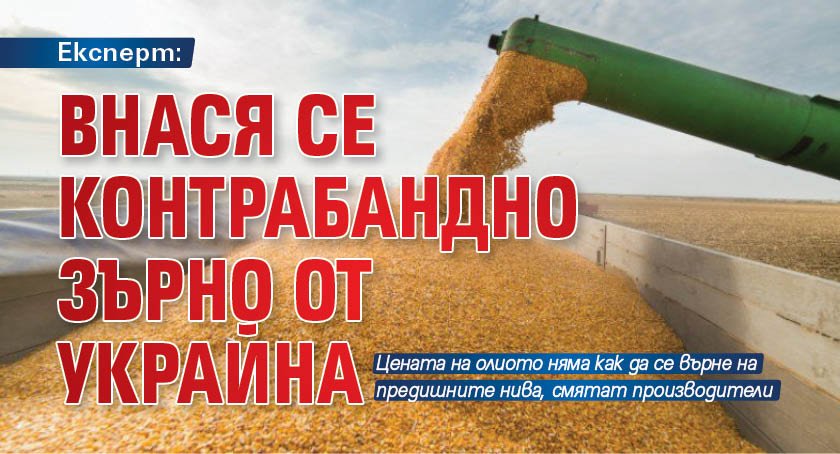 Експерт: Внася се контрабандно зърно от Украйна