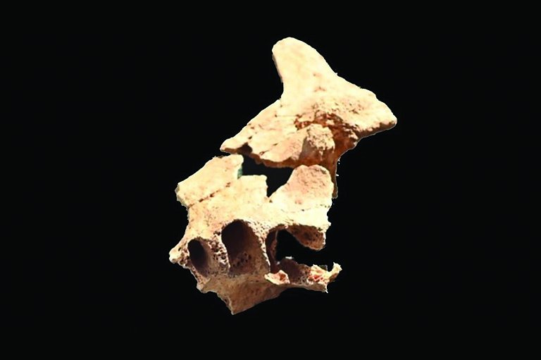 Откриха кост на 1,4 милиона години