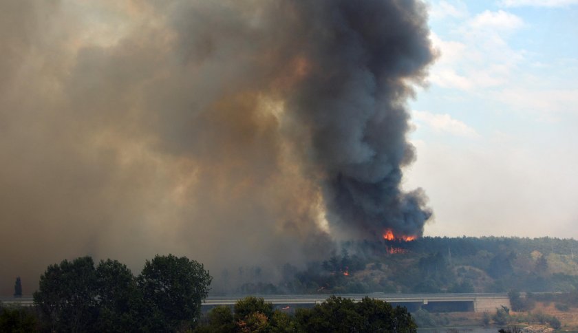 Голям пожар пламна в гориста местност в Казанлък. Огънят се