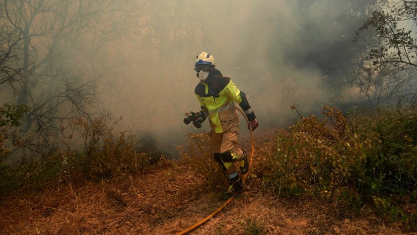 Германия обяви най-високо ниво на тревога за горски пожари