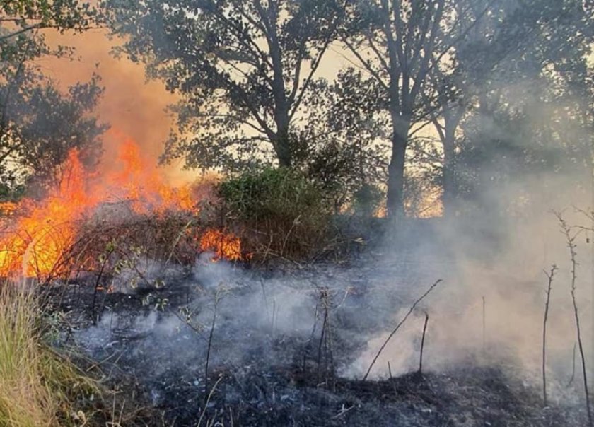Пожарът в Калояновско е потушен. Огънят, тръгнал от запалено стърнище,
