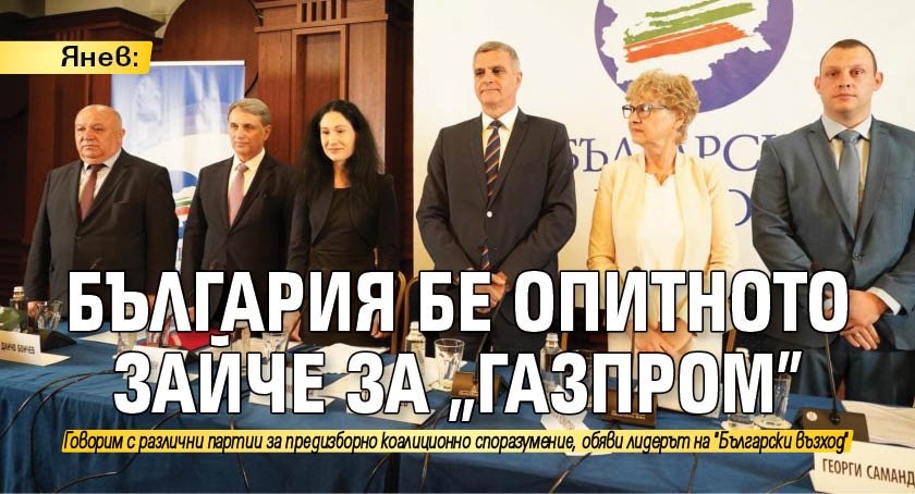 Янев: България бе опитното зайче за "Газпром"
