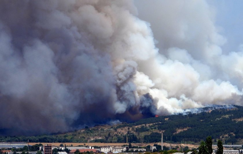 Пожар е обхванал гора край чирпанското село Пъстрово. Няколко екипа