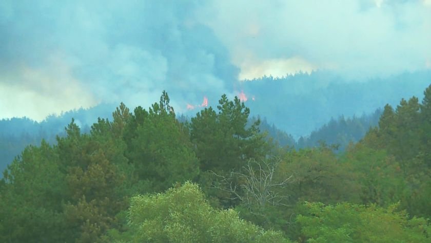Прокуратурата: Пожарът в Елшица е тръгнал от запалено стърнище