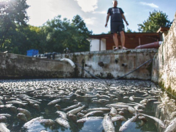 Над 12 000 души в община Своге са без вода
