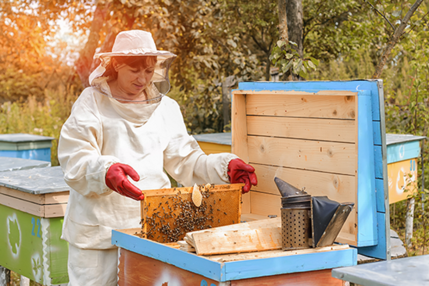 България е №11 по износ на мед