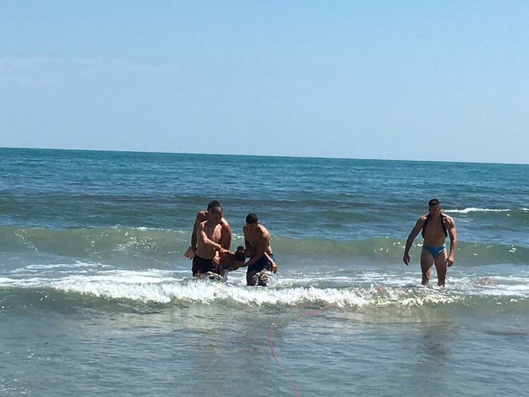 Вчера 69-годишен спасител на плажа почина, след като извади от