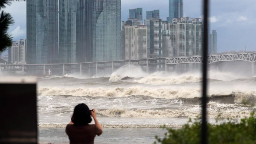 Броят на загиналите от тайфуна, който връхлетя Южна Корея, достигна