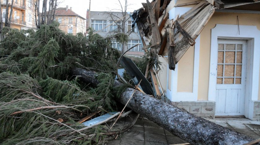 След бедствието: Паднали дървета и потрошени автомобили в Поморие