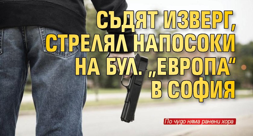 Съдят изверг, стрелял напосоки на бул. „Европа“ в София