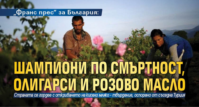 "Франс прес" за България: Шампиони по смъртност, олигарси и розово масло