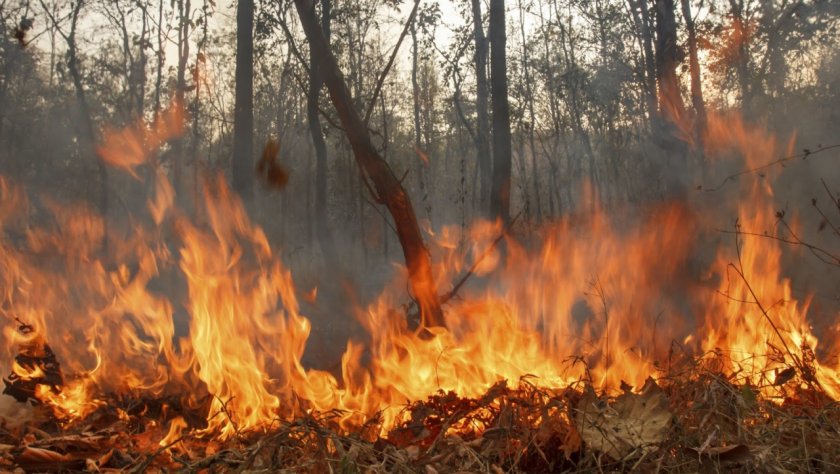 Пожар бушува край Клисура