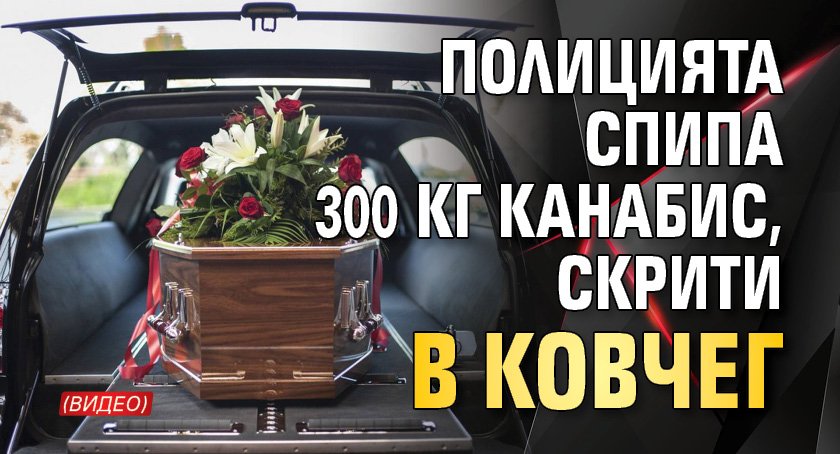 Полицията спипа 300 кг канабис, скрити в ковчег (ВИДЕО)