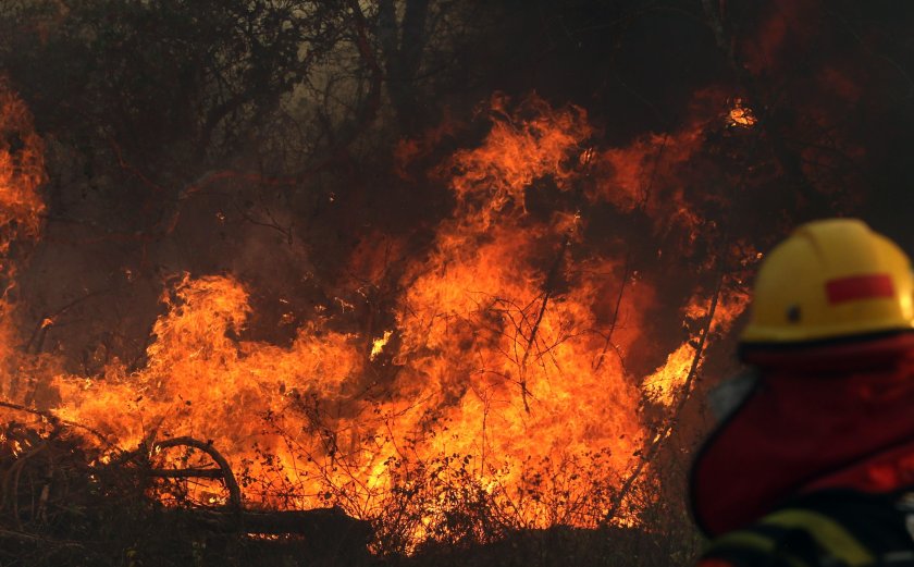 Пожари опустошиха близо милион хектара в Боливия