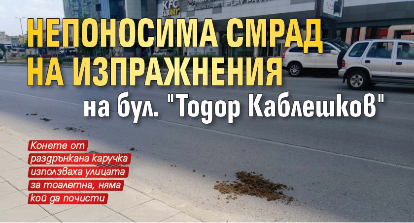 Непоносима смрад на изпражнения на бул. "Тодор Каблешков" 