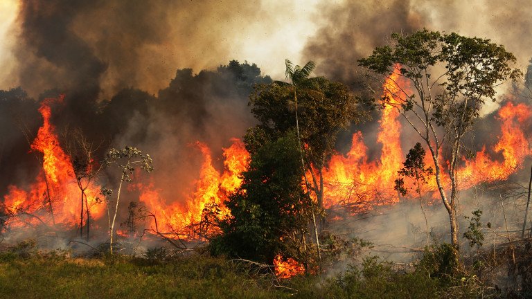 Г-7 отпуска 20 млн. долара за гасенето на пожарите в Бразилия
