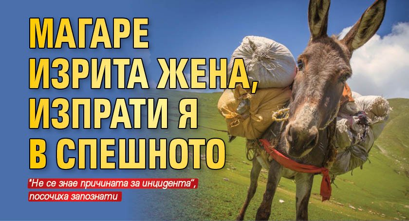 Магаре изрита жена, изпрати я в Спешното