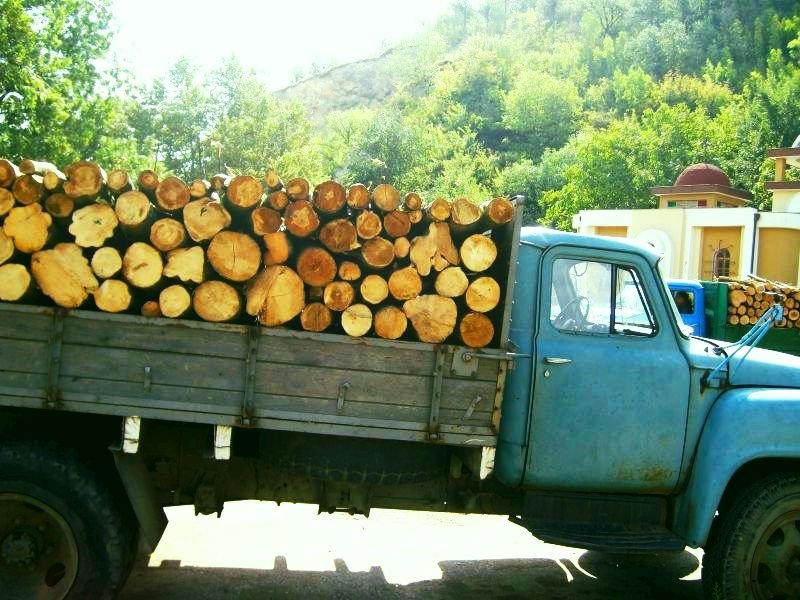 Заловиха камион с контрабандна дървесина в Якорудско