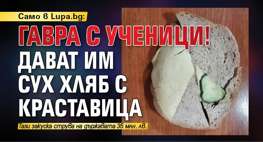 Само в Lupa.bg: Гавра с ученици! Дават им сух хляб с краставица