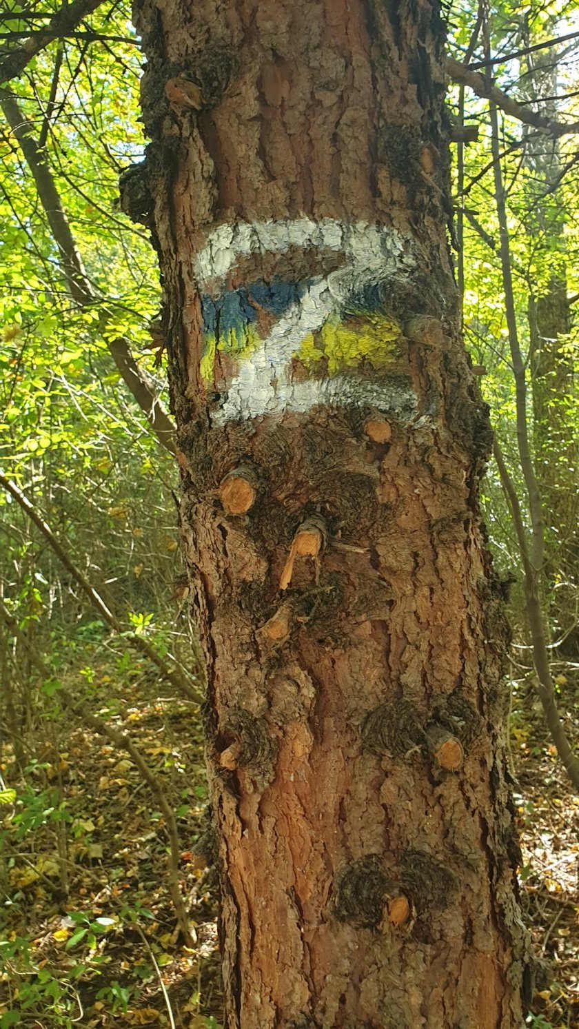 Дебилни путлеристи омазаха Южния парк