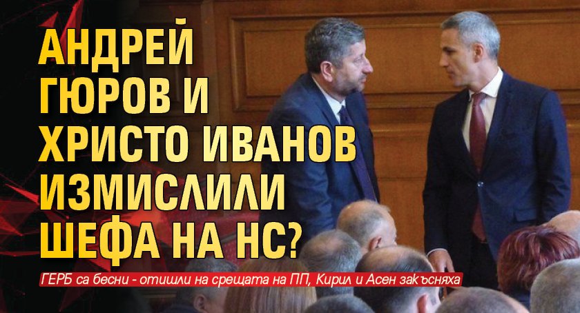 Шефовете на ПГ на ДБ и на ПП - Христо