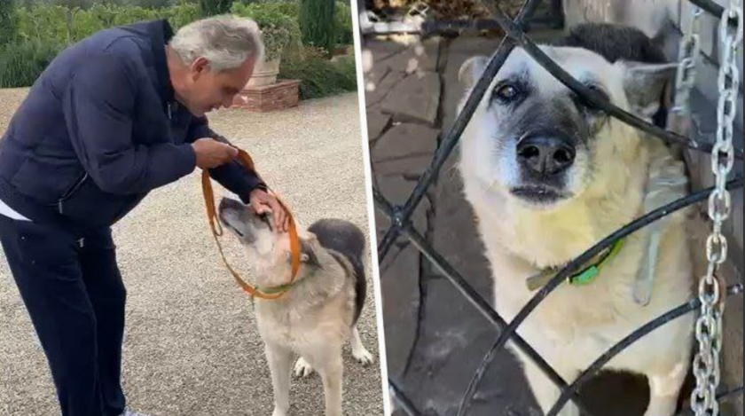 Известният италиански тенор Андреа Бочели осинови куче, спасено след освобождението