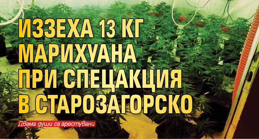Иззеха 13 кг марихуана при спецакция в Старозагорско