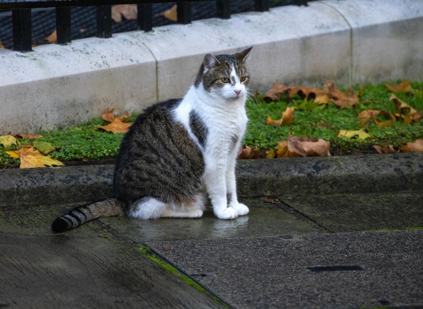 Британската политика отдавна не е това, което беше дори преди