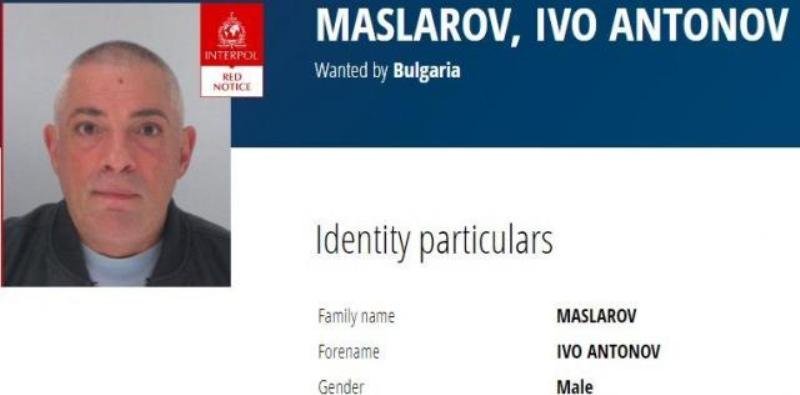 Синът на Емилия Масларова се предал сам в Германия