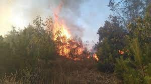 Пожарът край военния полигон "Ново село" продължава да бушува