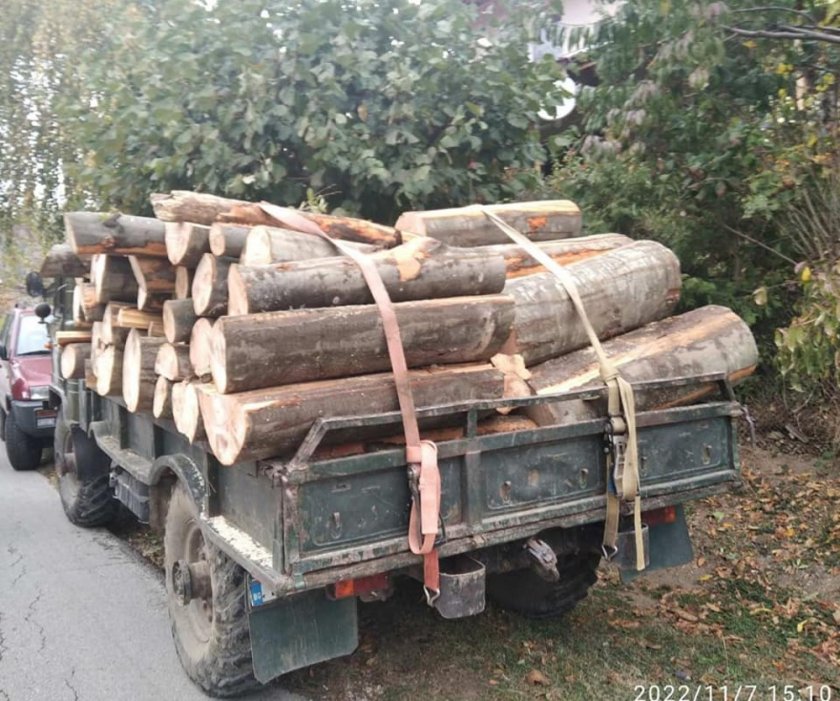 Екип на Изпълнителна агенция по горите (ИАГ) разкри незаконна схема