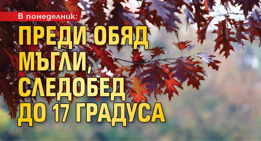 В понеделник: Преди обяд мъгли, следобед до 17 градуса
