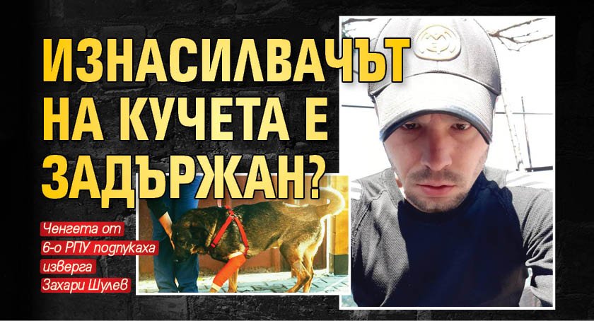 Изнасилвачът на кучета е задържан?